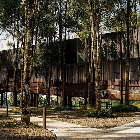 Teras Hotel Ijen Banyuwangi Banyuwangi  Bagian luar foto